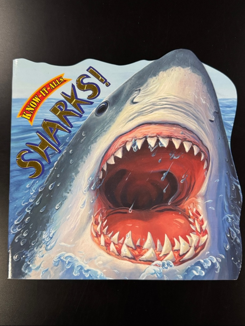 Know-It-Alls: Sharks! - Softcover Children’s Book